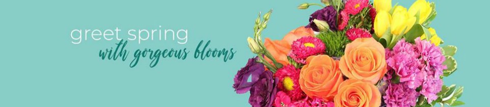 New Season, New Blooms, Send Spring Flowers in Adams County Wi from Anchor Floral